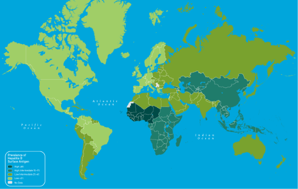 B型肝炎の流行国マップ